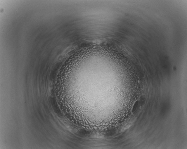 X0000062930656200601181311