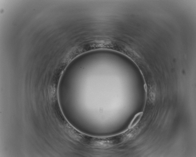 X0000062930657200601181311