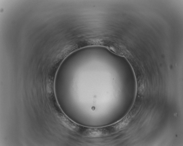 X0000062930658200601181311