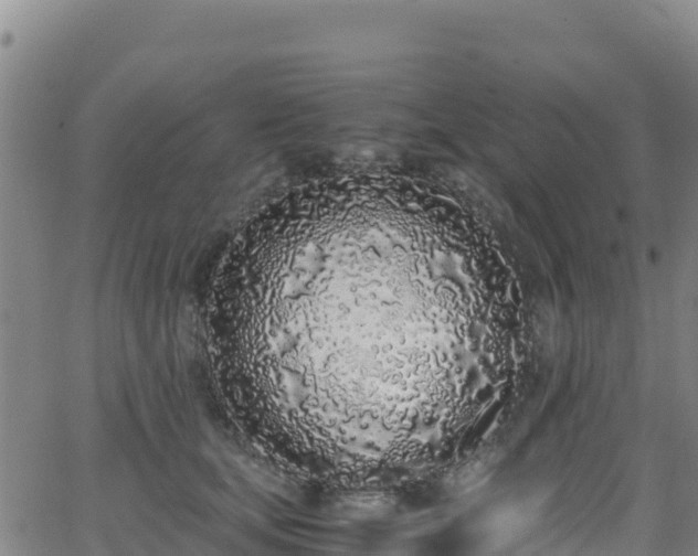 X0000062930659200601181311