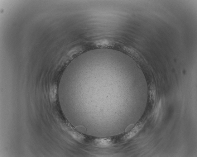 X0000062930660200601181311