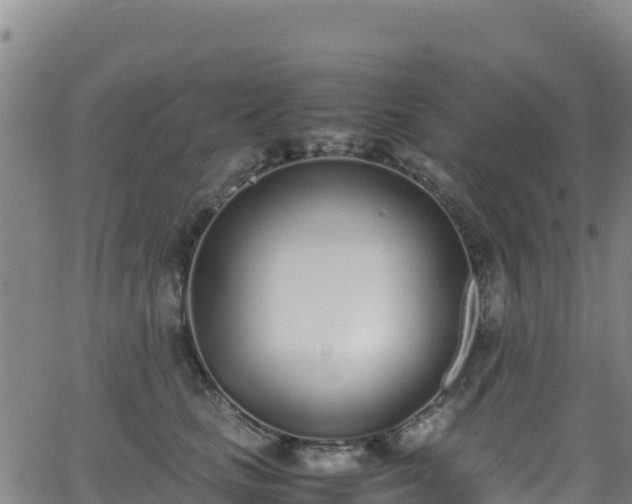 X0000062930661200601181311