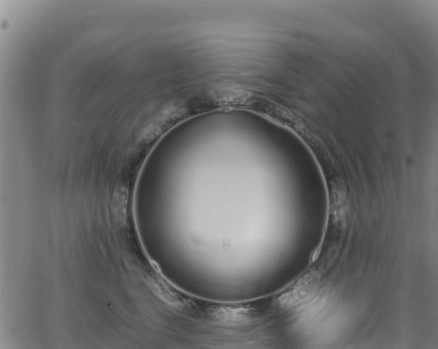 X0000062930664200601181311