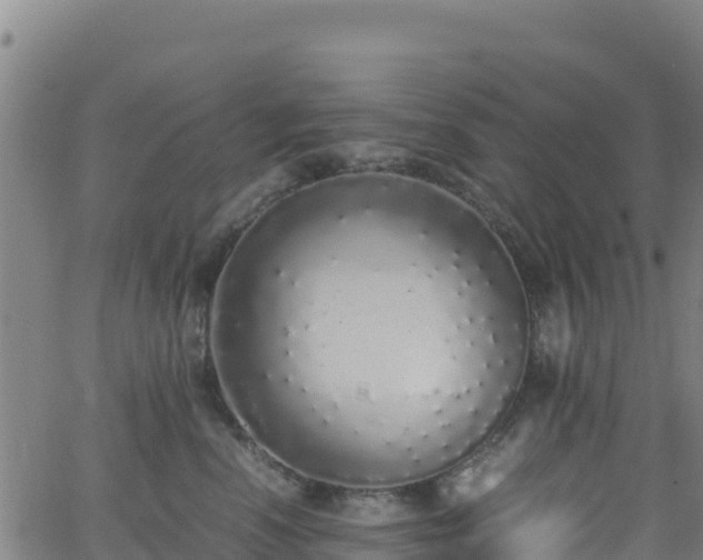 X0000062930666200601181311