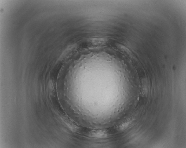 X0000062930667200601181311