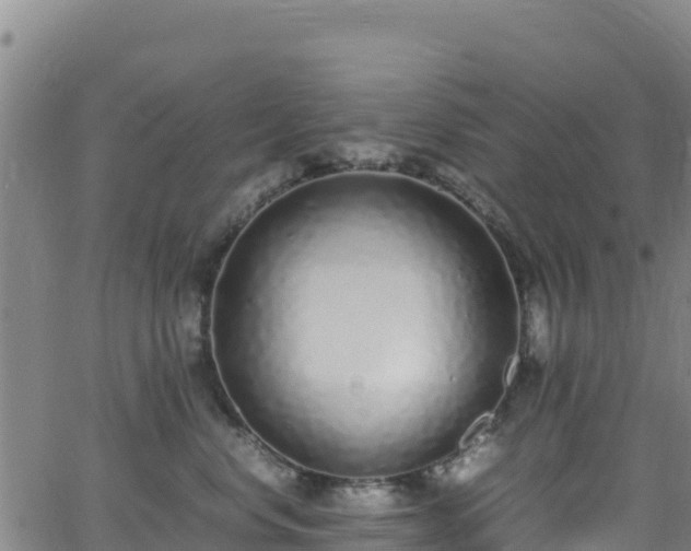 X0000062930668200601181311