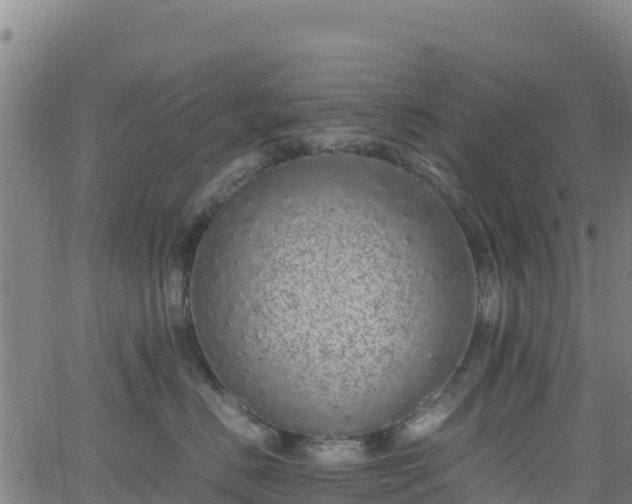 X0000062930670200601181311