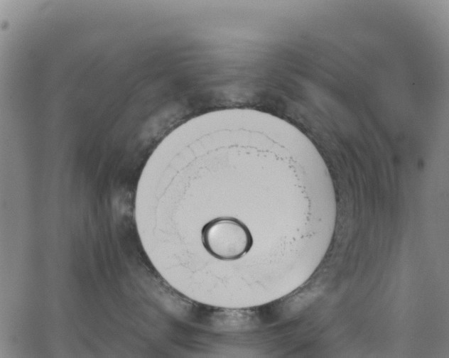 X0000062930672200601181311