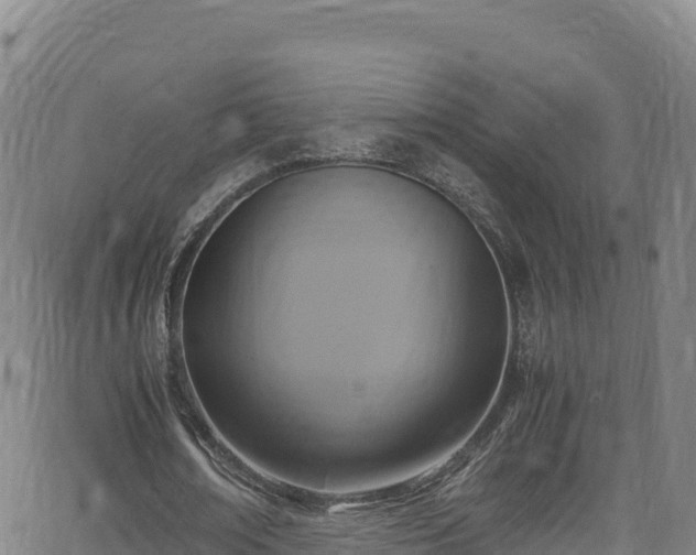 X0000062930674200601181310