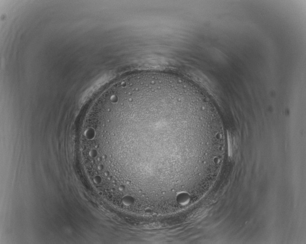 X0000062930675200601181310