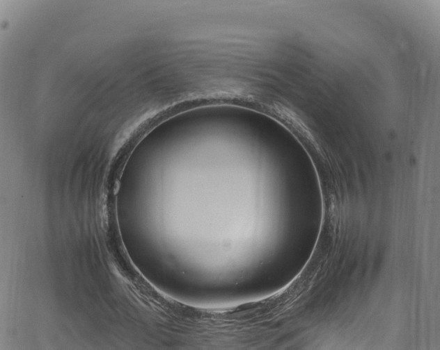 X0000062930676200601181310