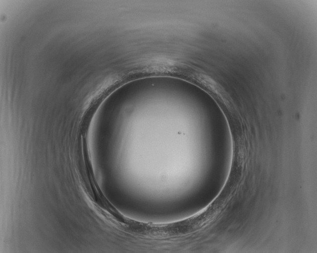 X0000062930677200601181310