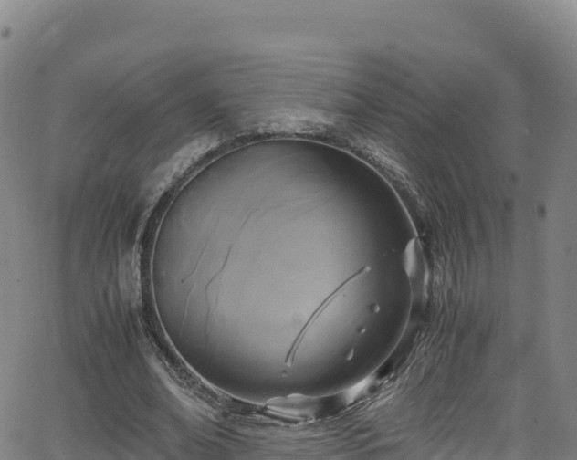 X0000062930678200601181310