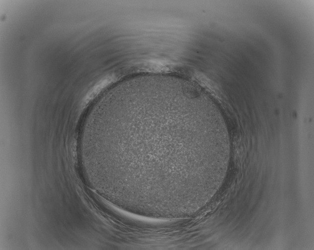 X0000062930679200601181310