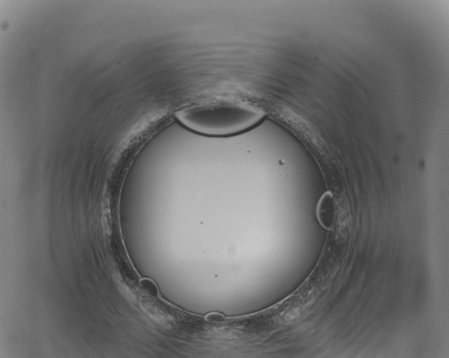 X0000062930680200601181310