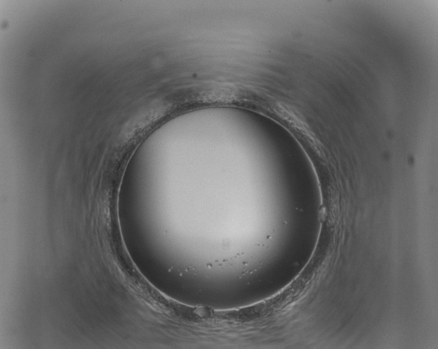 X0000062930681200601181310