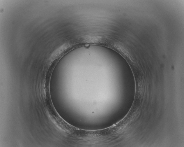 X0000062930682200601181310