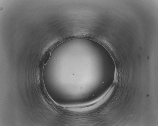 X0000062930684200601181310