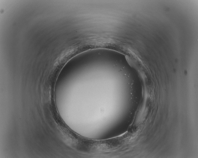 X0000062930685200601181310