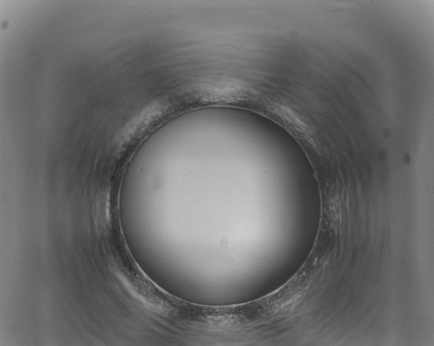 X0000062930686200601181310