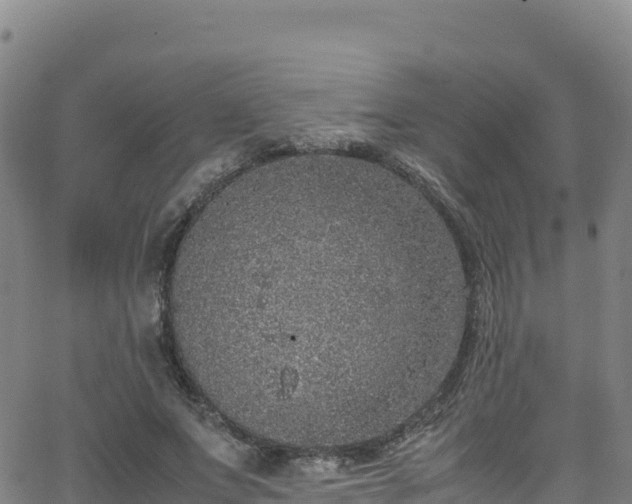 X0000062930687200601181310