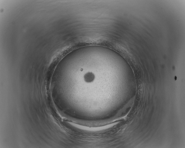 X0000062930688200601181310