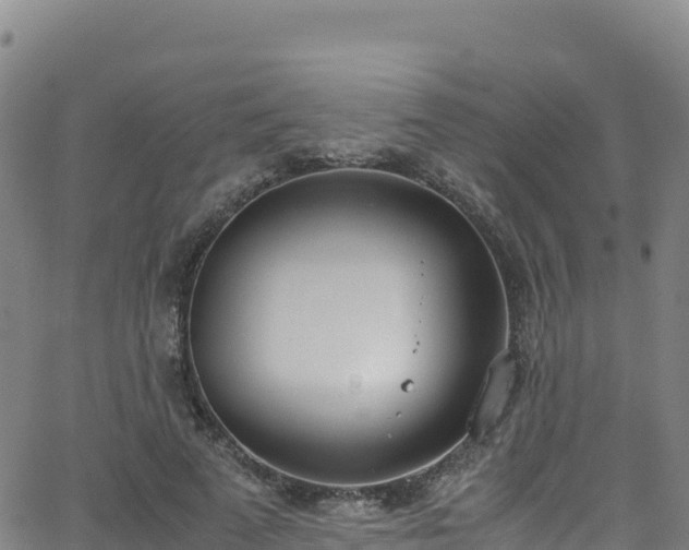 X0000062930689200601181310