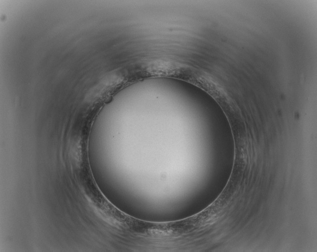 X0000062930690200601181310