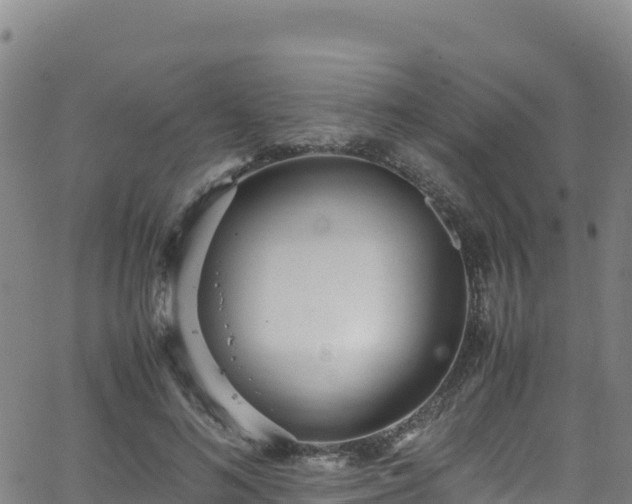 X0000062930692200601181310