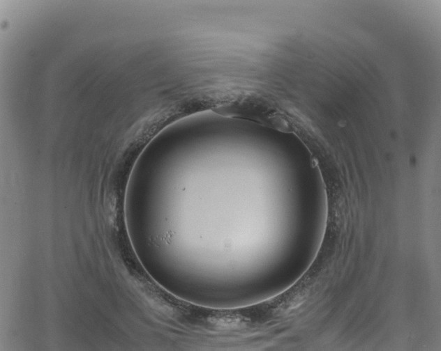 X0000062930693200601181310