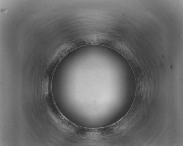 X0000062930694200601181310