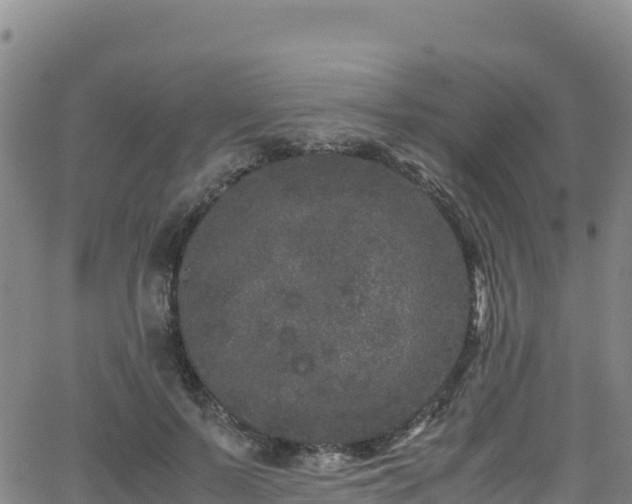 X0000062930695200601181310