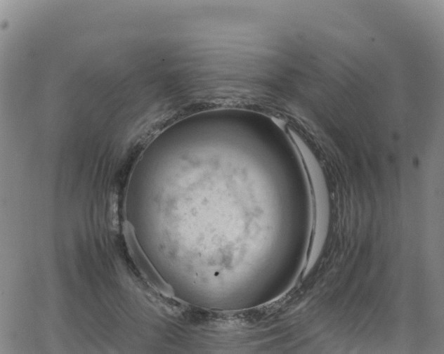 X0000062930696200601181310