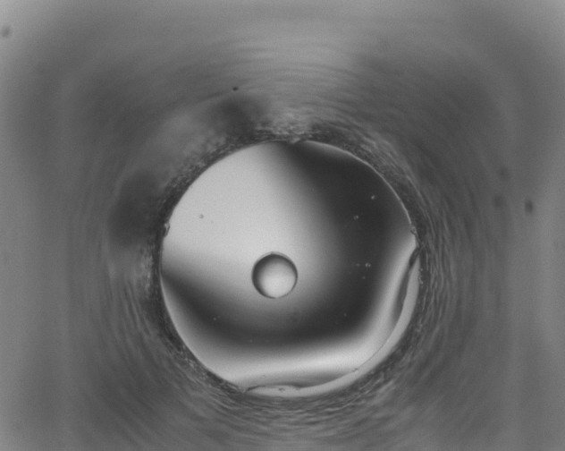 X0000062930697200601181310