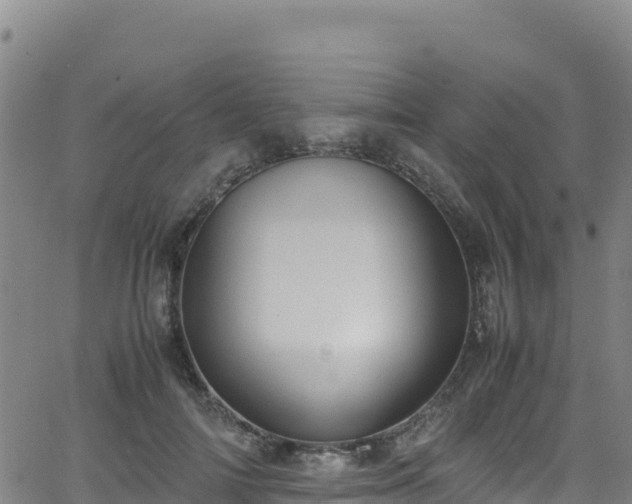 X0000062930698200601181310