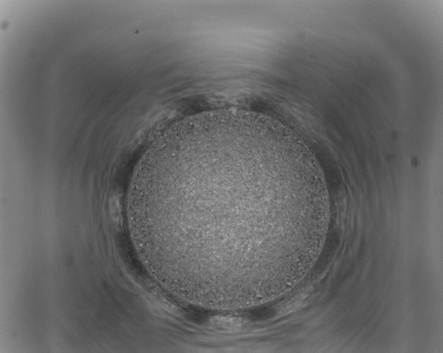 X0000062930699200601181310