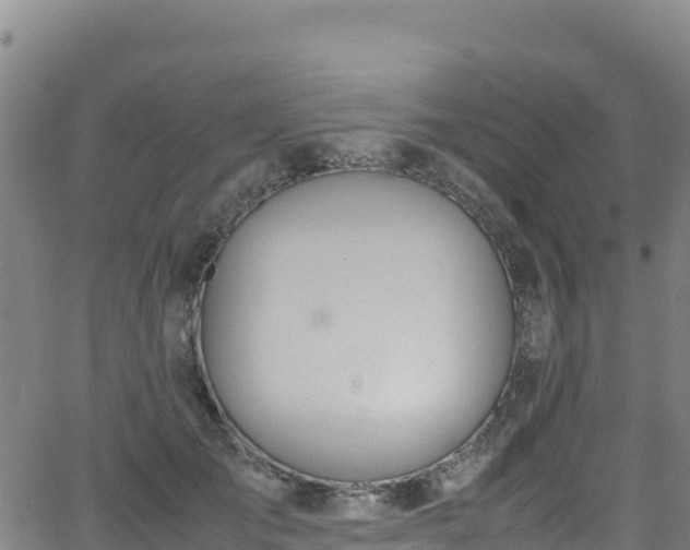 X0000062930701200601181310