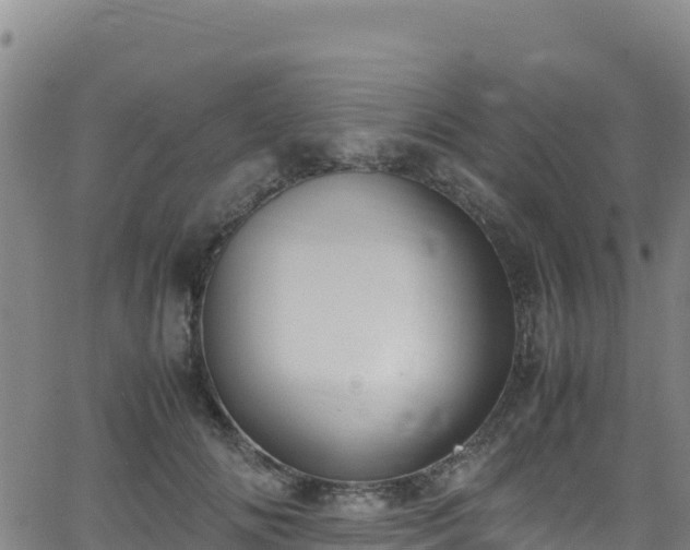 X0000062930702200601181310