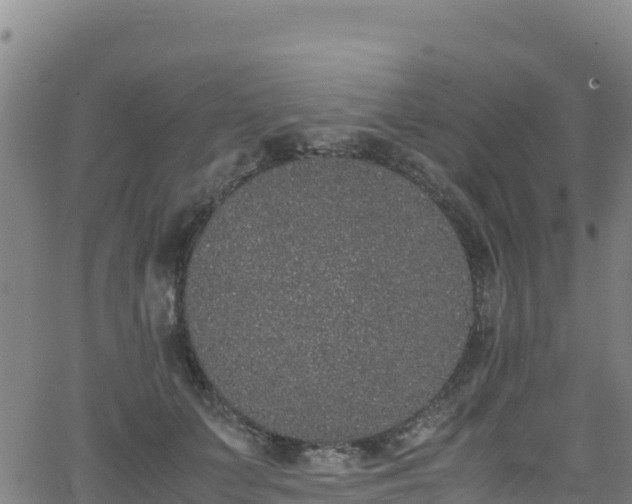 X0000062930703200601181310