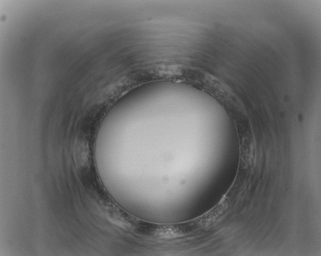 X0000062930704200601181310