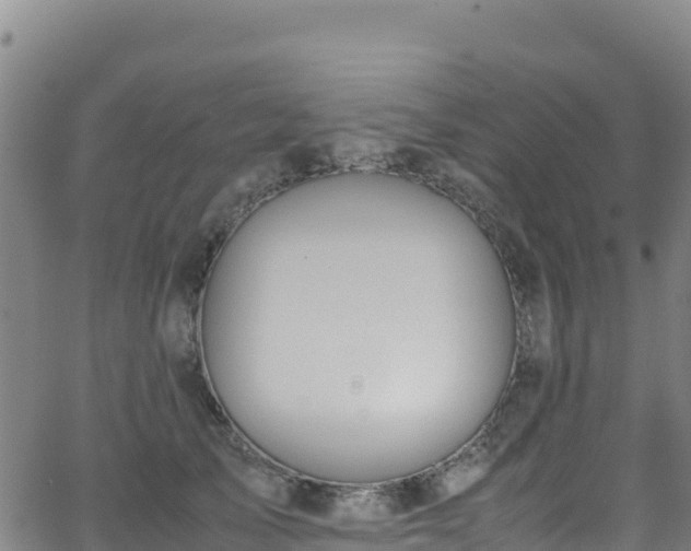 X0000062930705200601181310