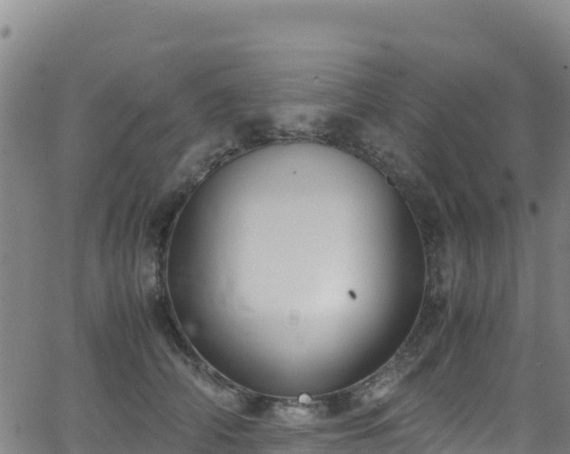 X0000062930706200601181310