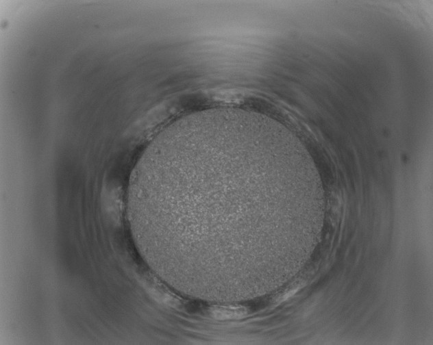 X0000062930707200601181310