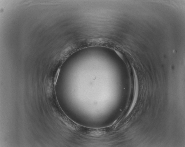 X0000062930708200601181310