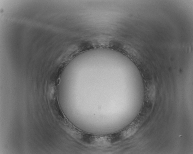 X0000062930709200601181310