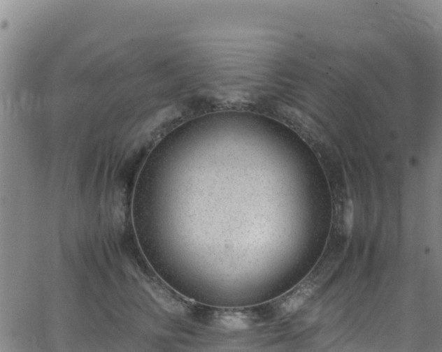 X0000062930710200601181310