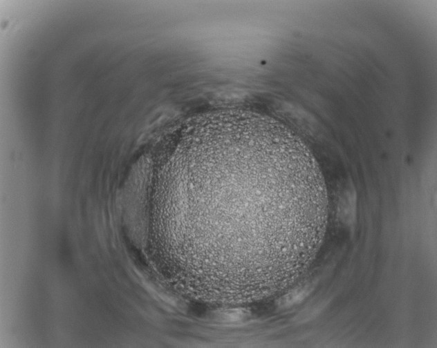 X0000062930711200601181310