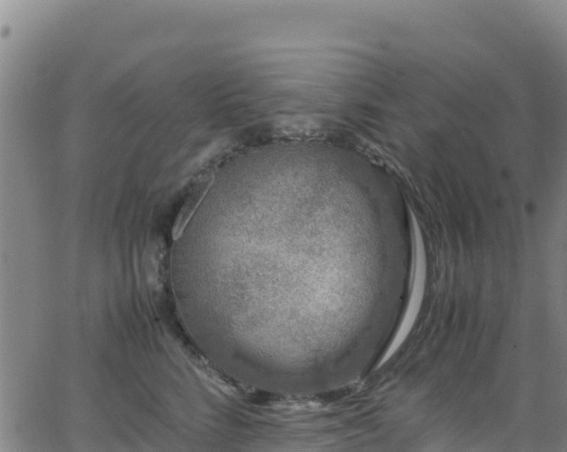 X0000062930712200601181310