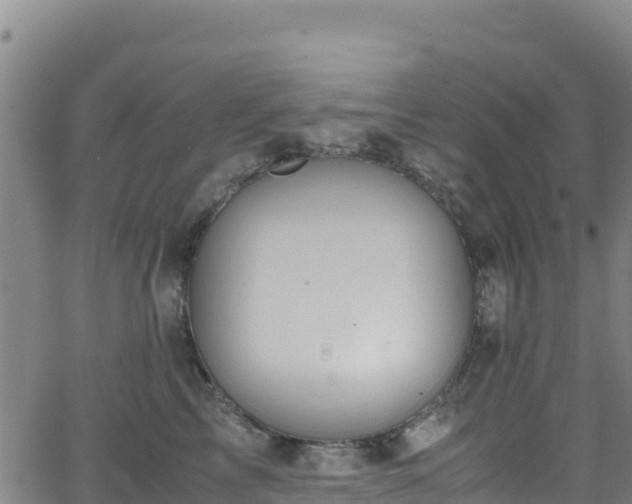 X0000062930713200601181310