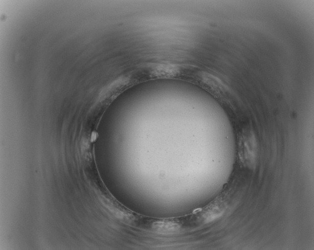 X0000062930714200601181310